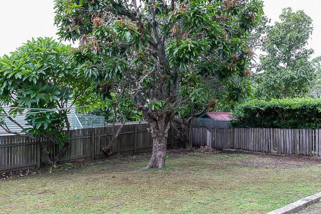 Pet Friendly Family Home 3Km To Cbd Brisbane Exterior photo